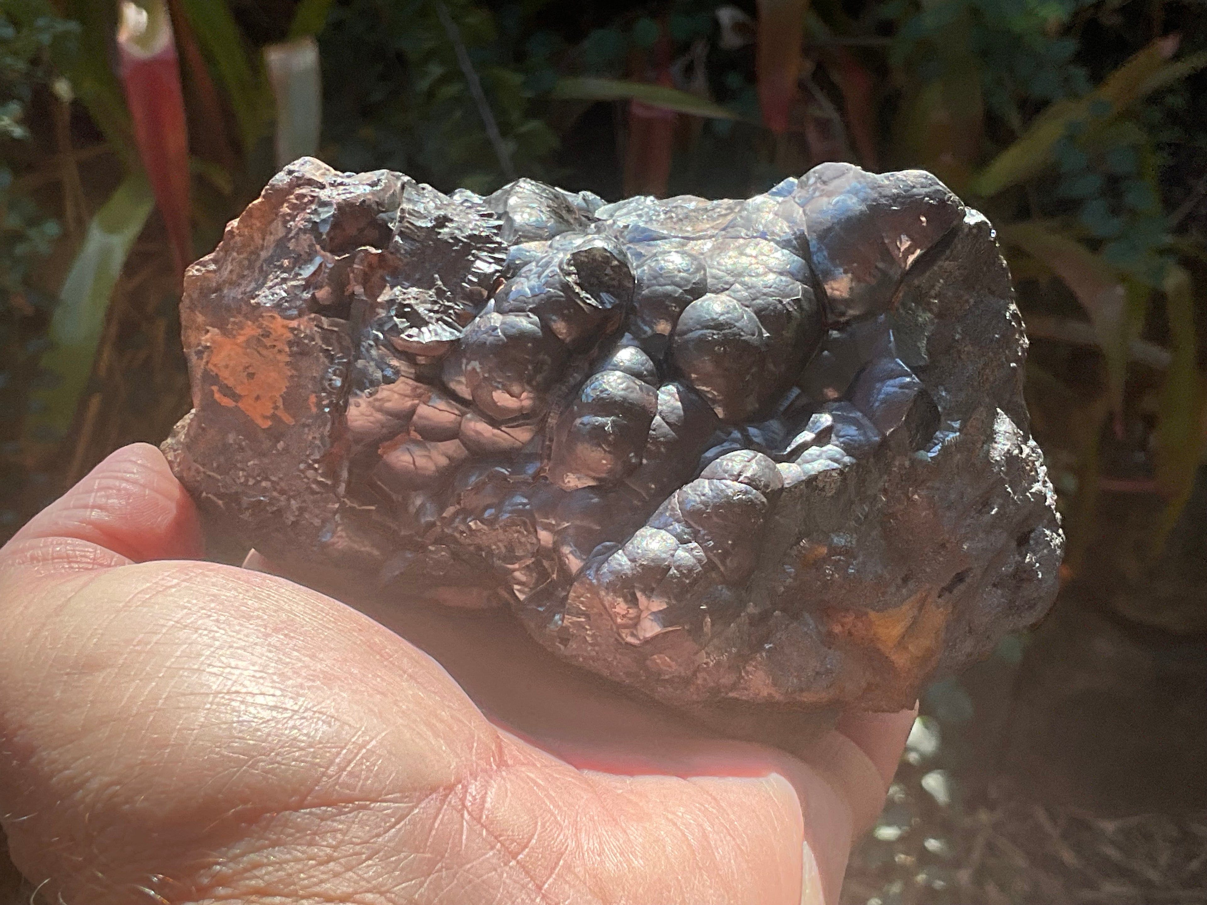1156g Botryoidal Hematite Specimen 2A