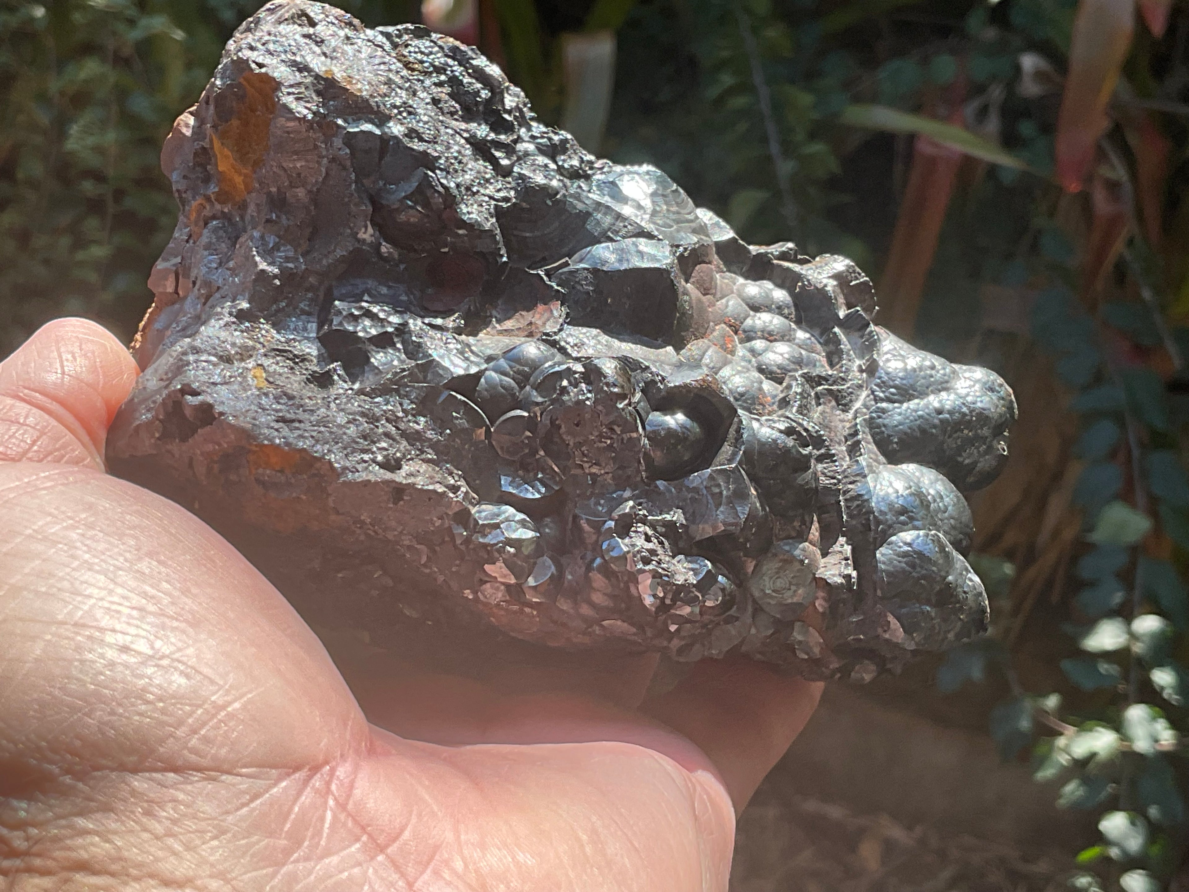 1408g Botryoidal Hematite Specimen 1B