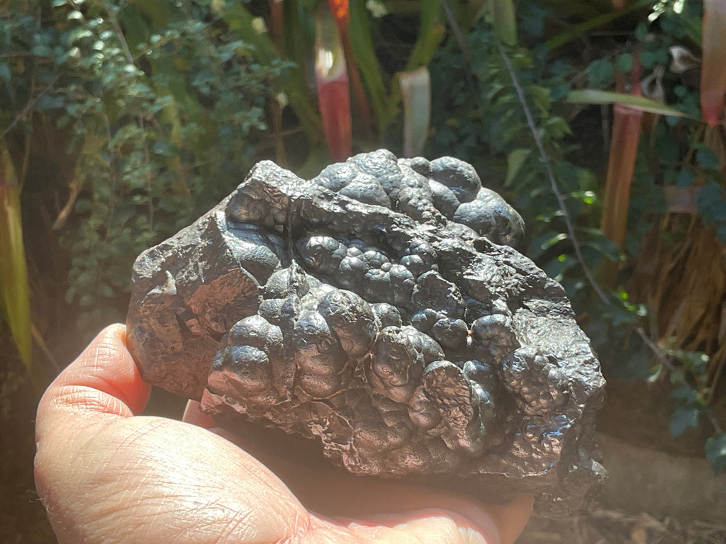 1283g Botryoidal Hematite Specimen 2C