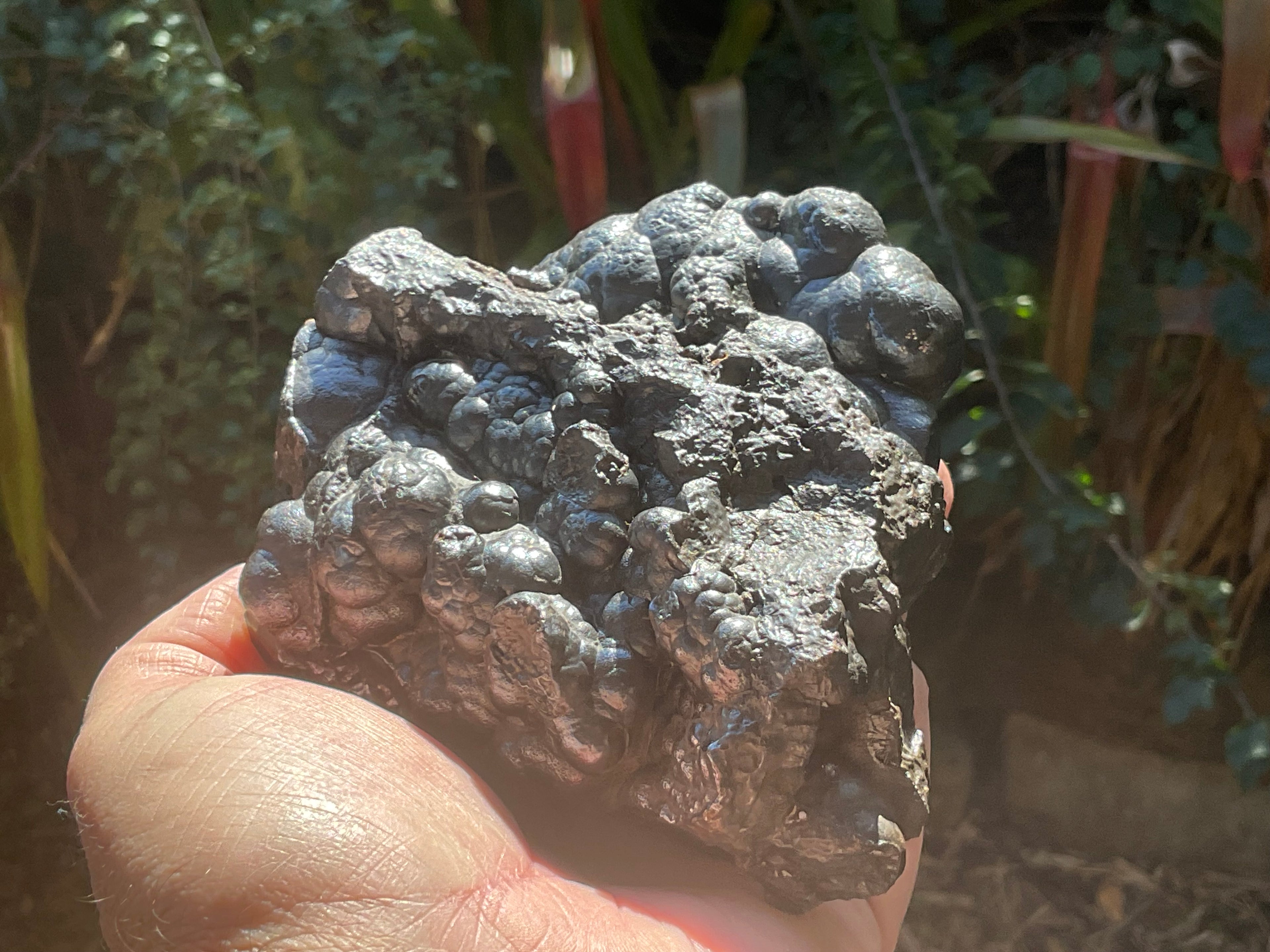 1283g Botryoidal Hematite Specimen 2C