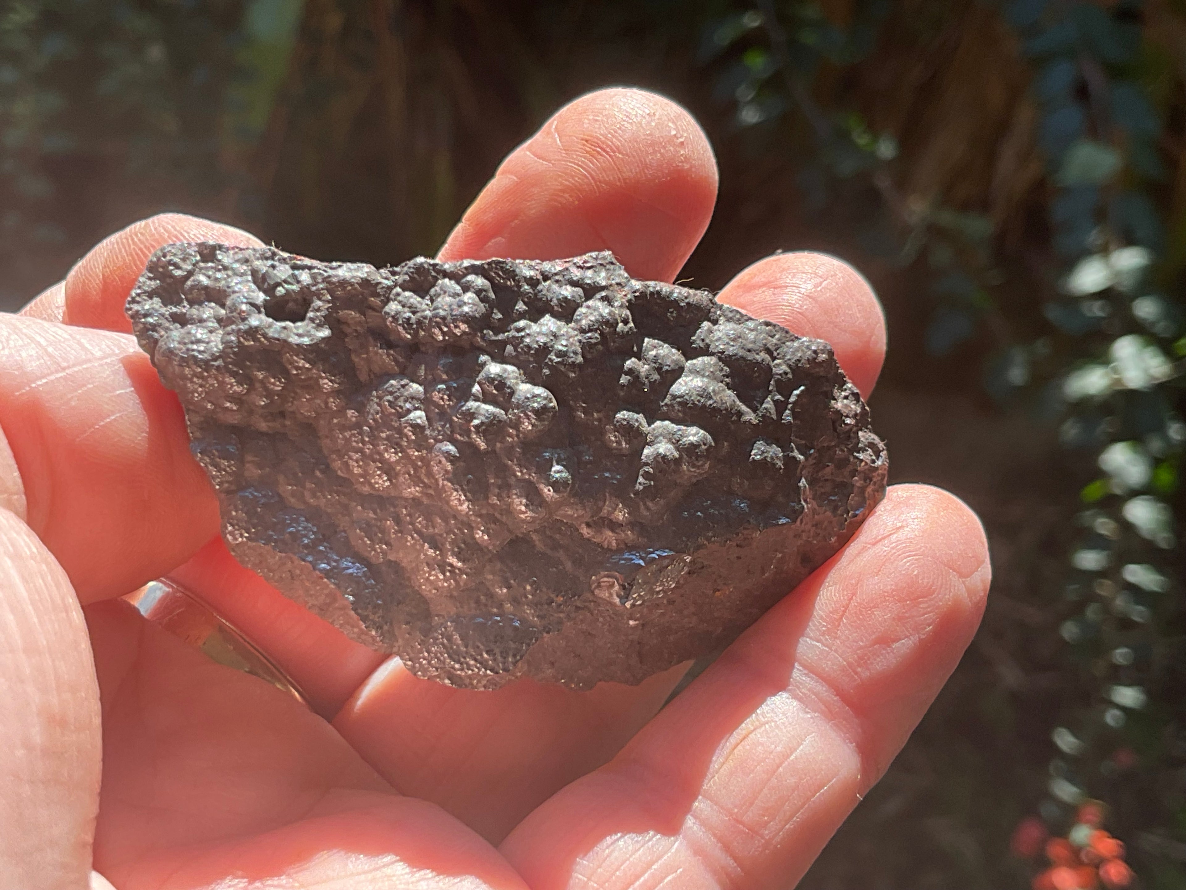 76g Botryoidal Hematite Specimen