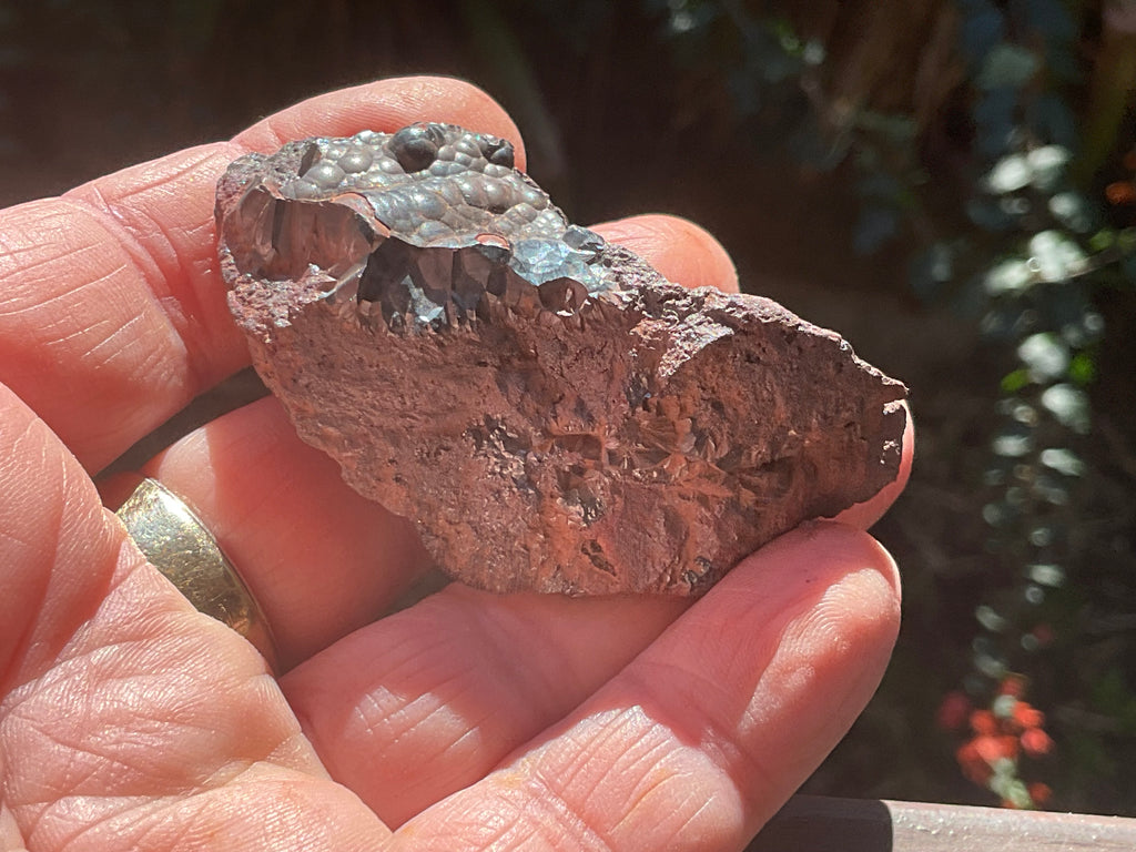 76g Botryoidal Hematite Specimen