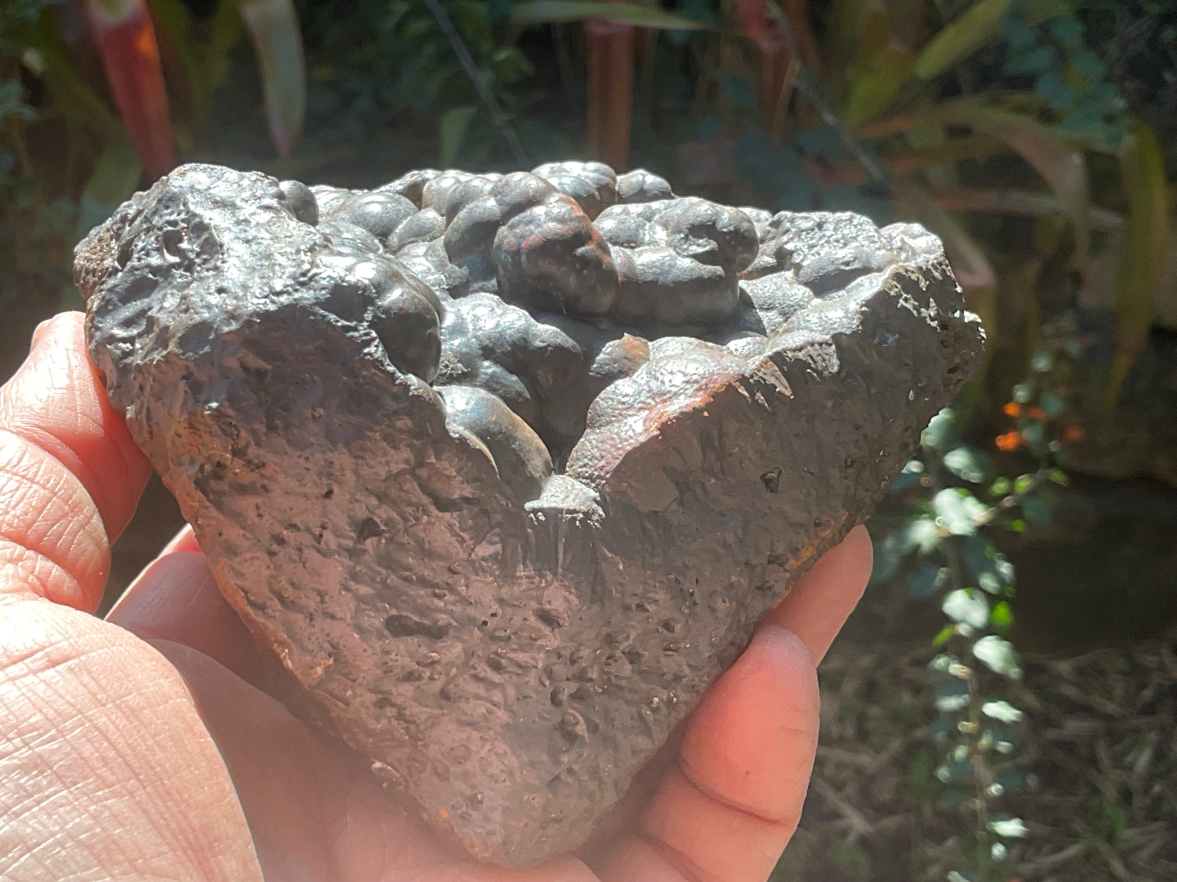 1300g Botryoidal Hematite Specimen 3A