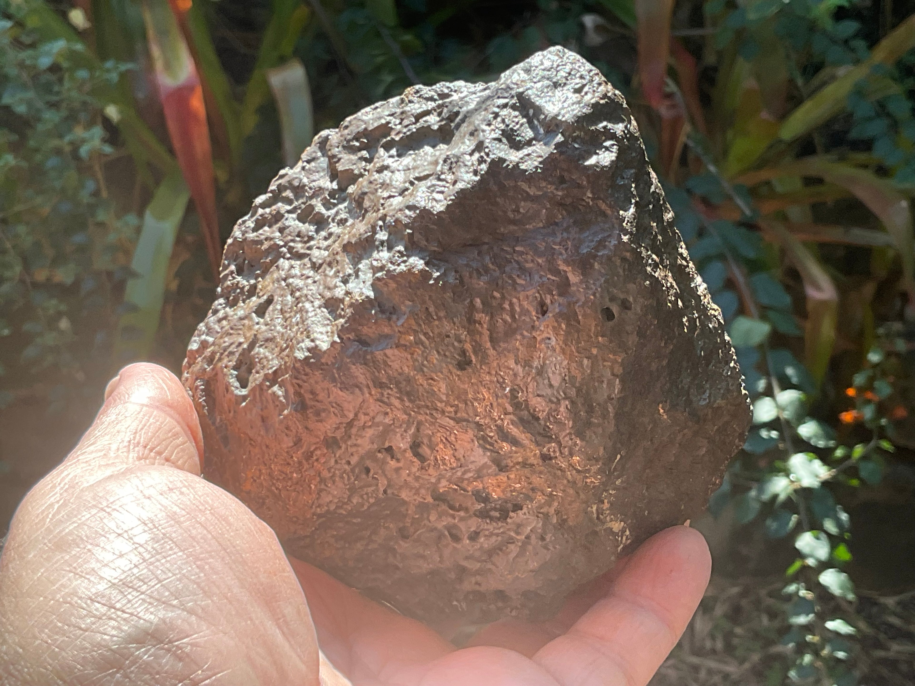 1300g Botryoidal Hematite Specimen 3A