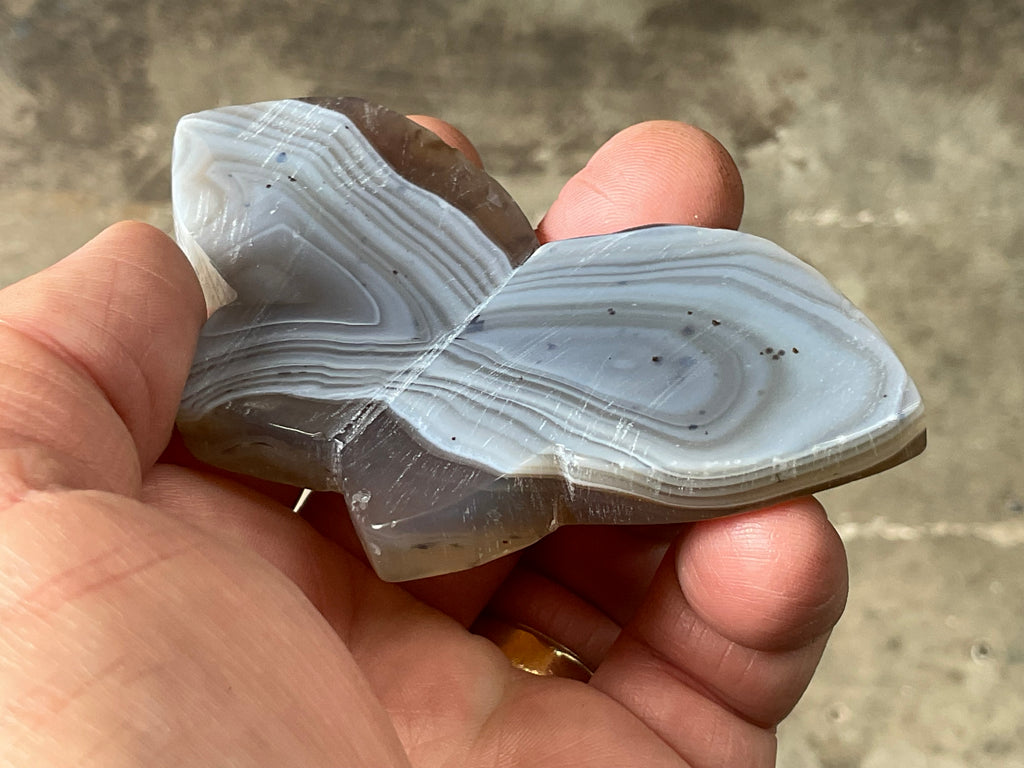 82g Dendritic Agate Butterfly
