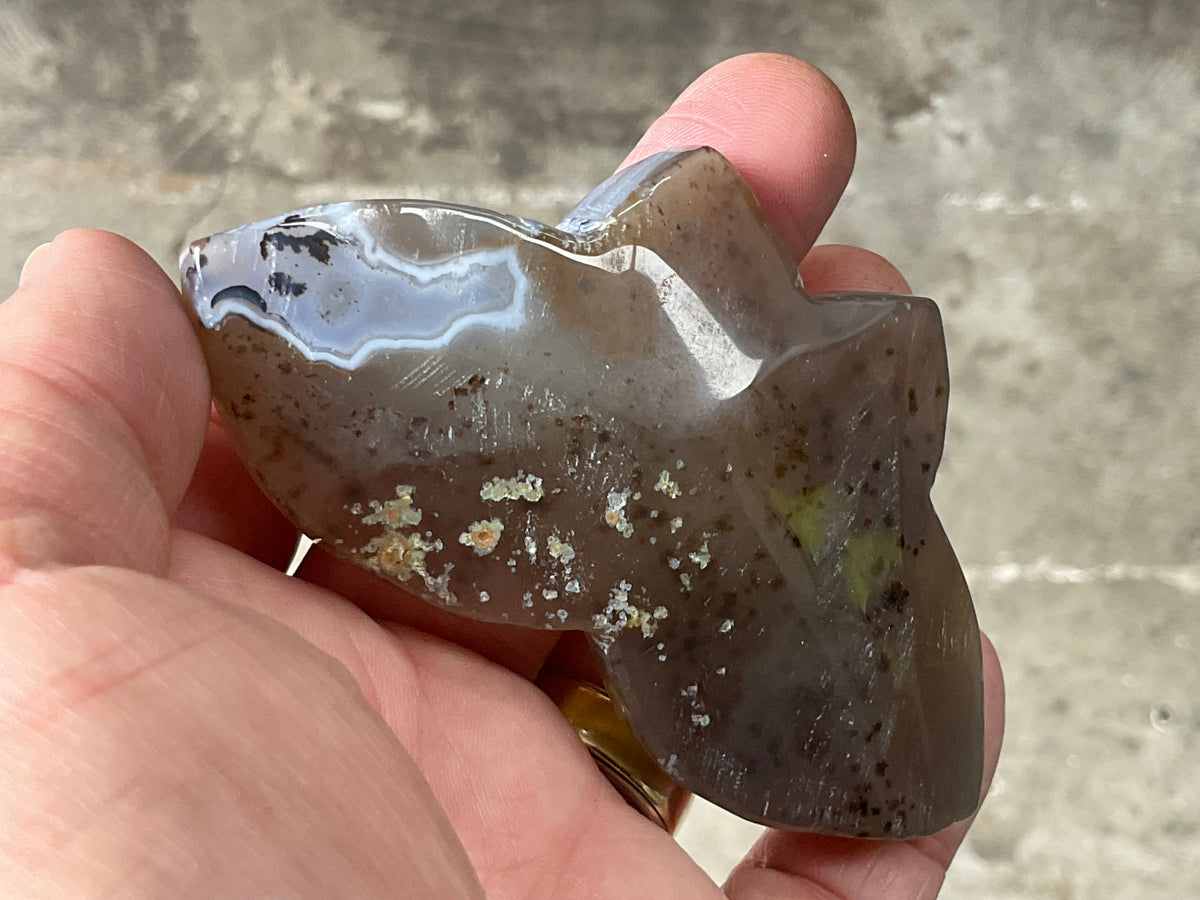 82g Dendritic Agate Butterfly