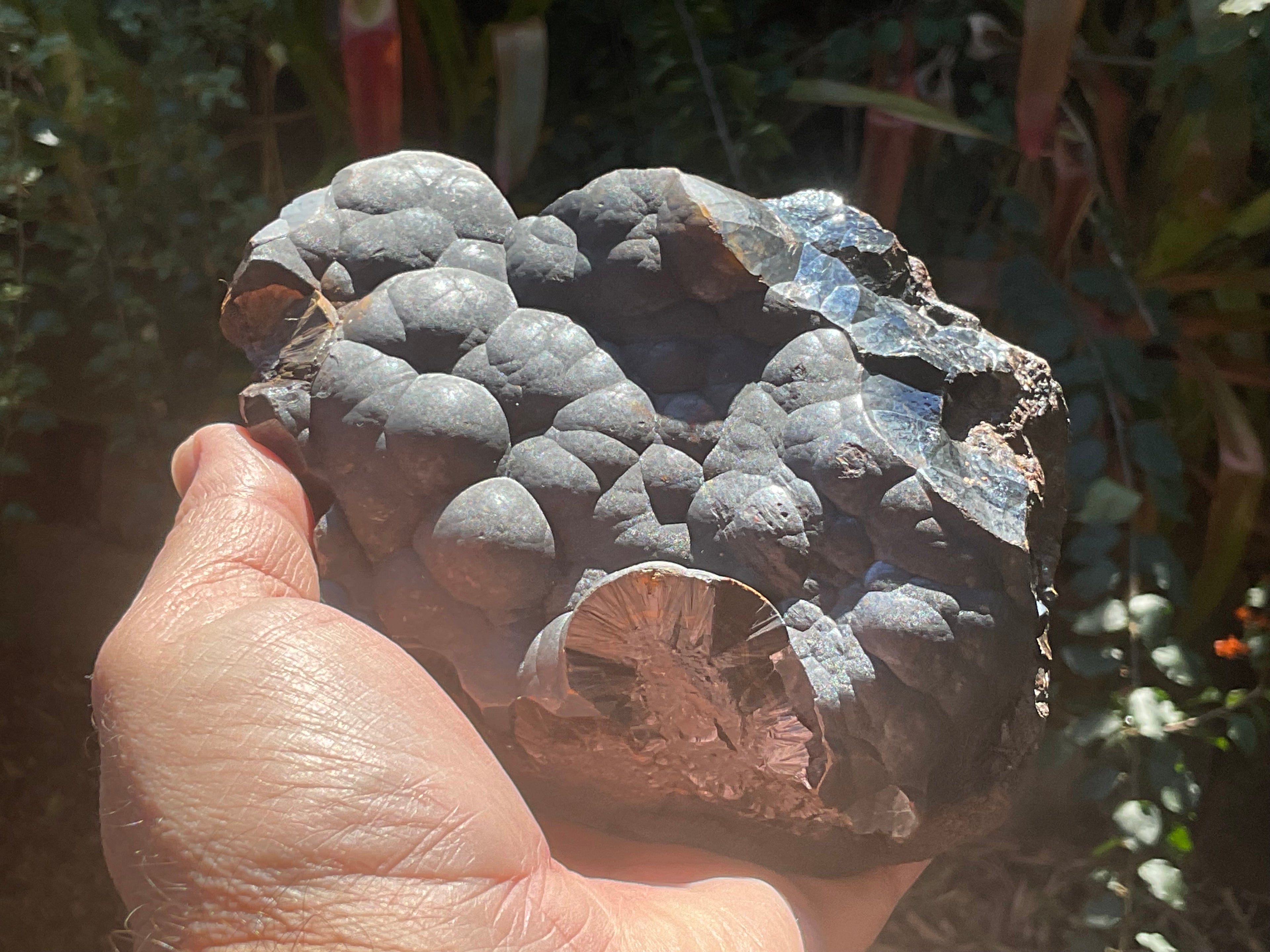 1537 Botryoidal Hematite Specimen 3B