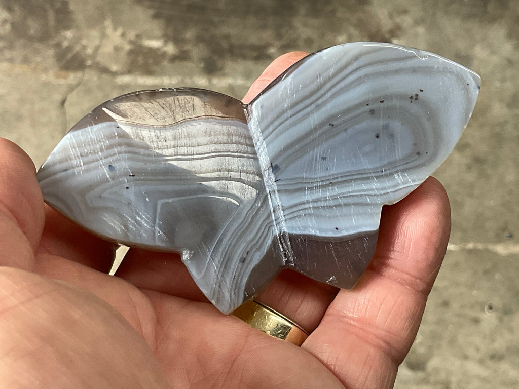 82g Dendritic Agate Butterfly