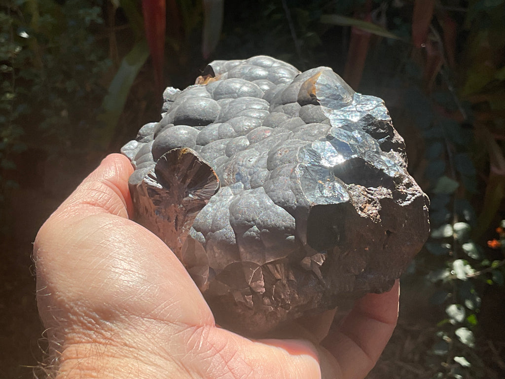 1537 Botryoidal Hematite Specimen 3B