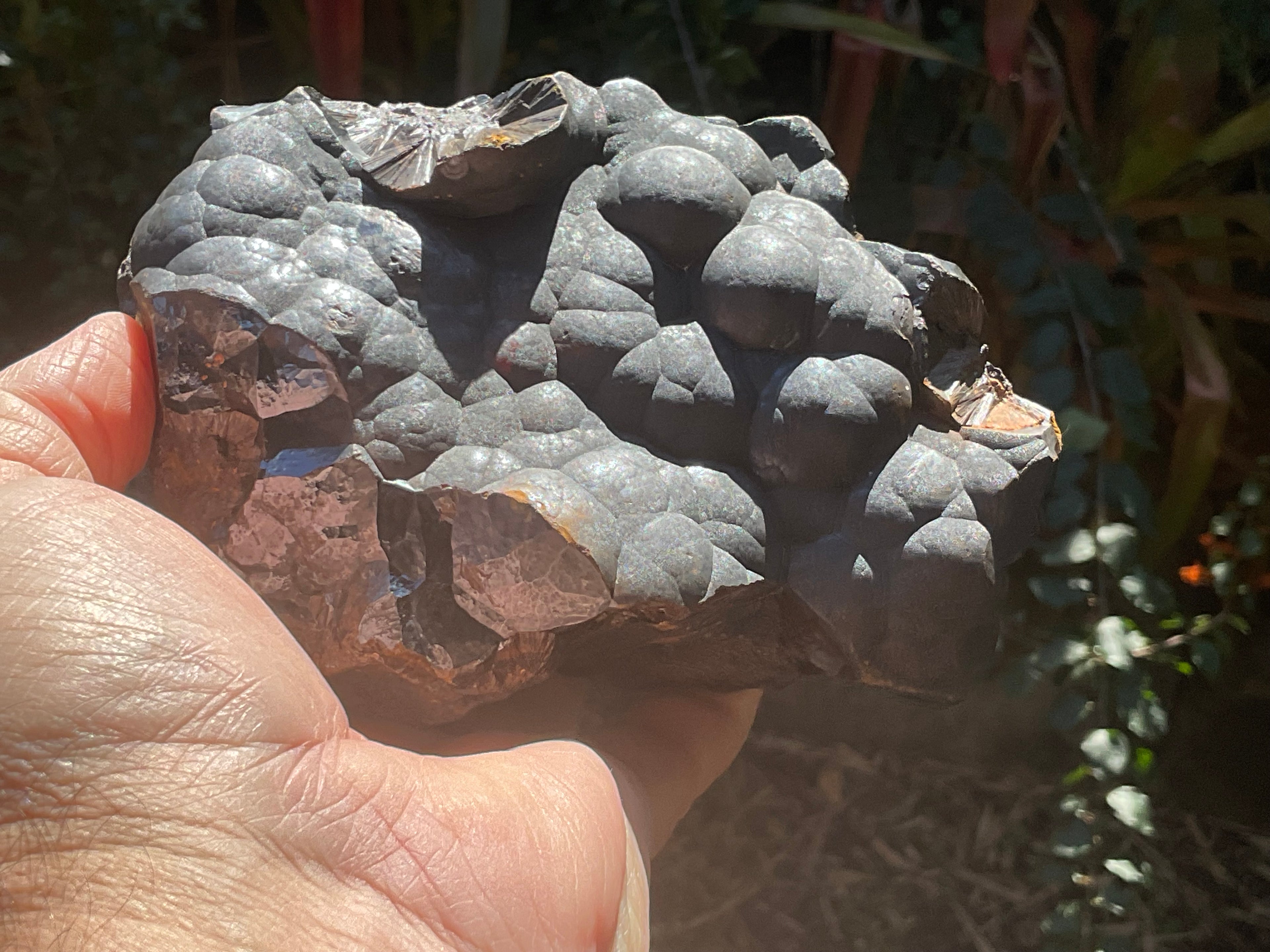 1537 Botryoidal Hematite Specimen 3B