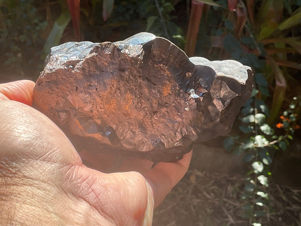 1537 Botryoidal Hematite Specimen 3B