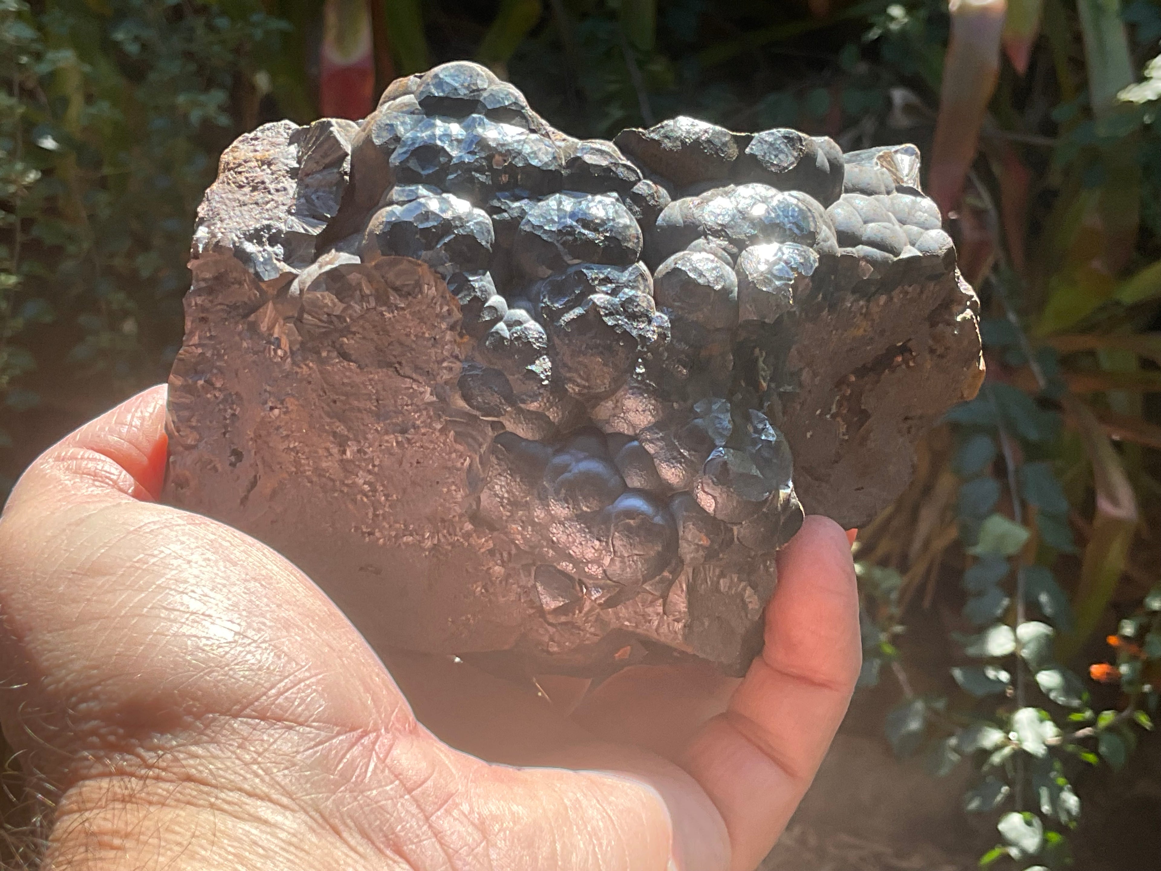 1537 Botryoidal Hematite Specimen 3B