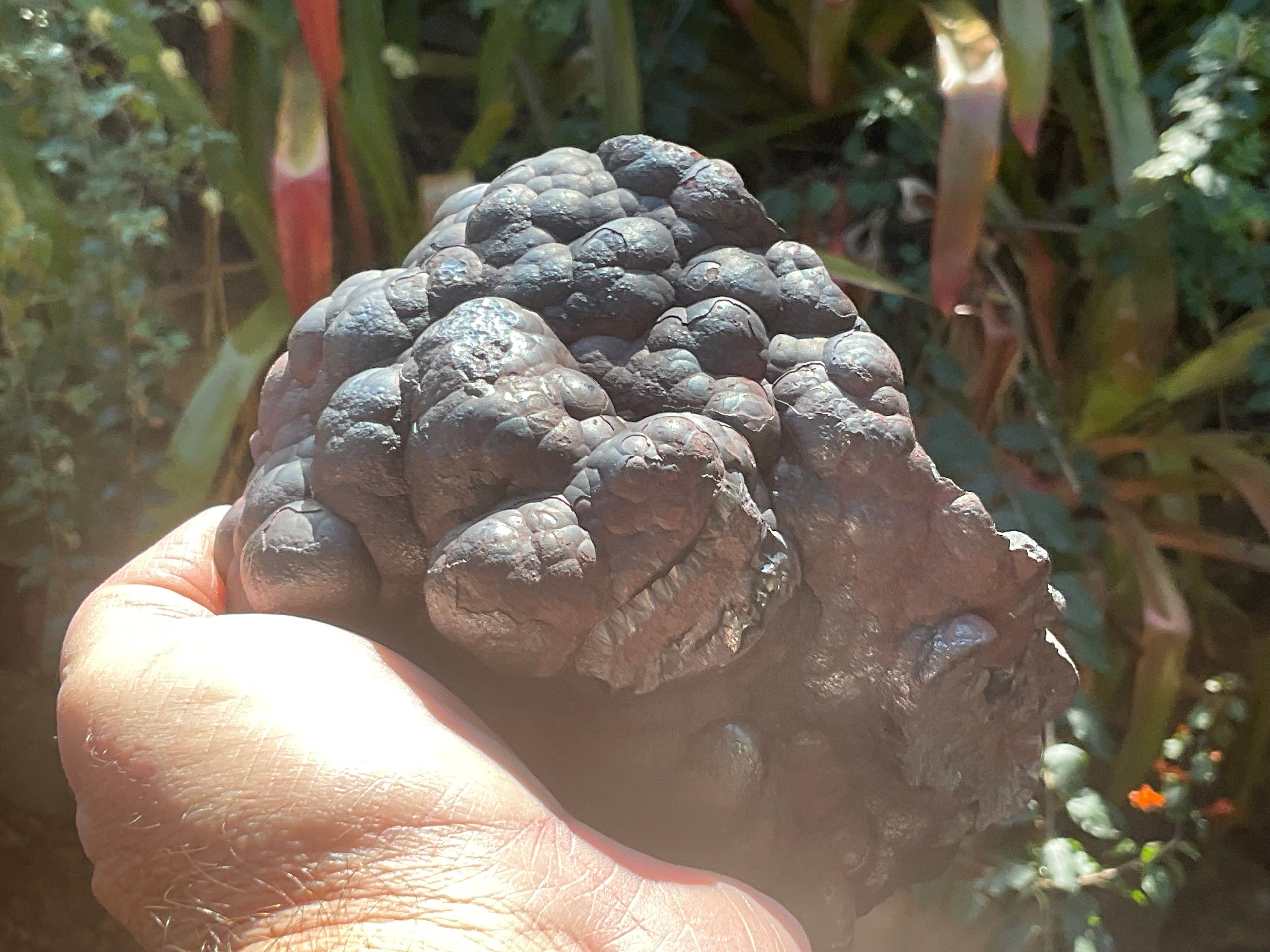 2100g Botryoidal Hematite Specimen 3C