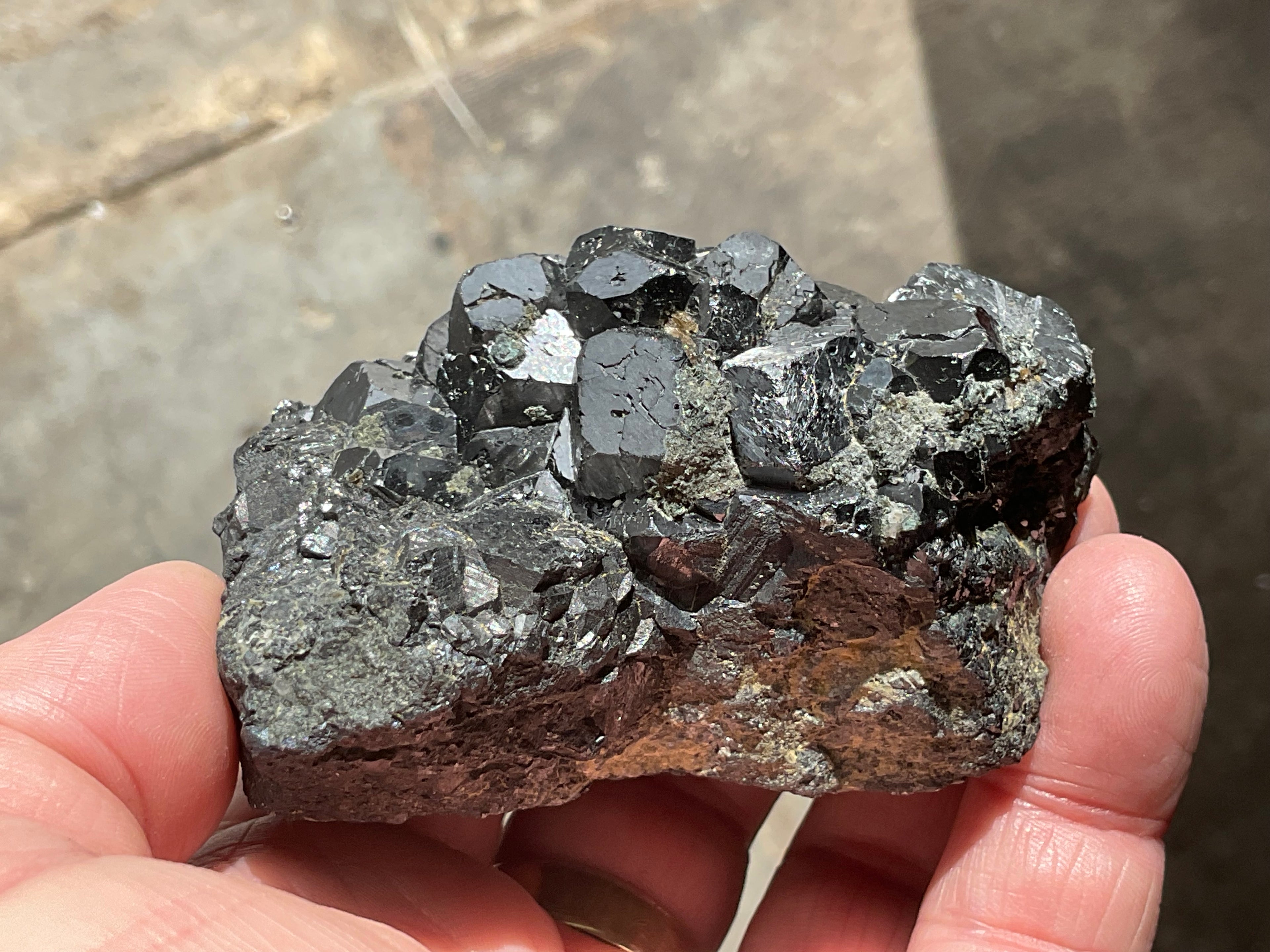 464g Magnetite with Calcite Specimen 1C