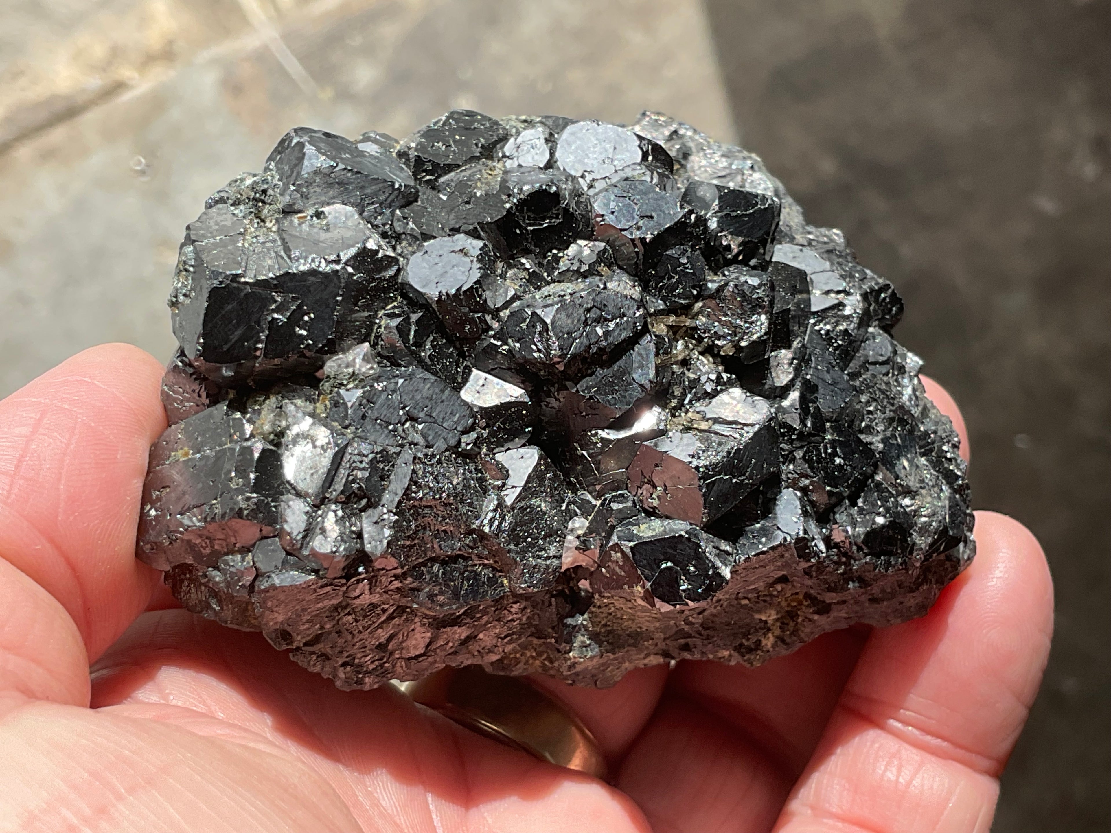 464g Magnetite with Calcite Specimen 1C