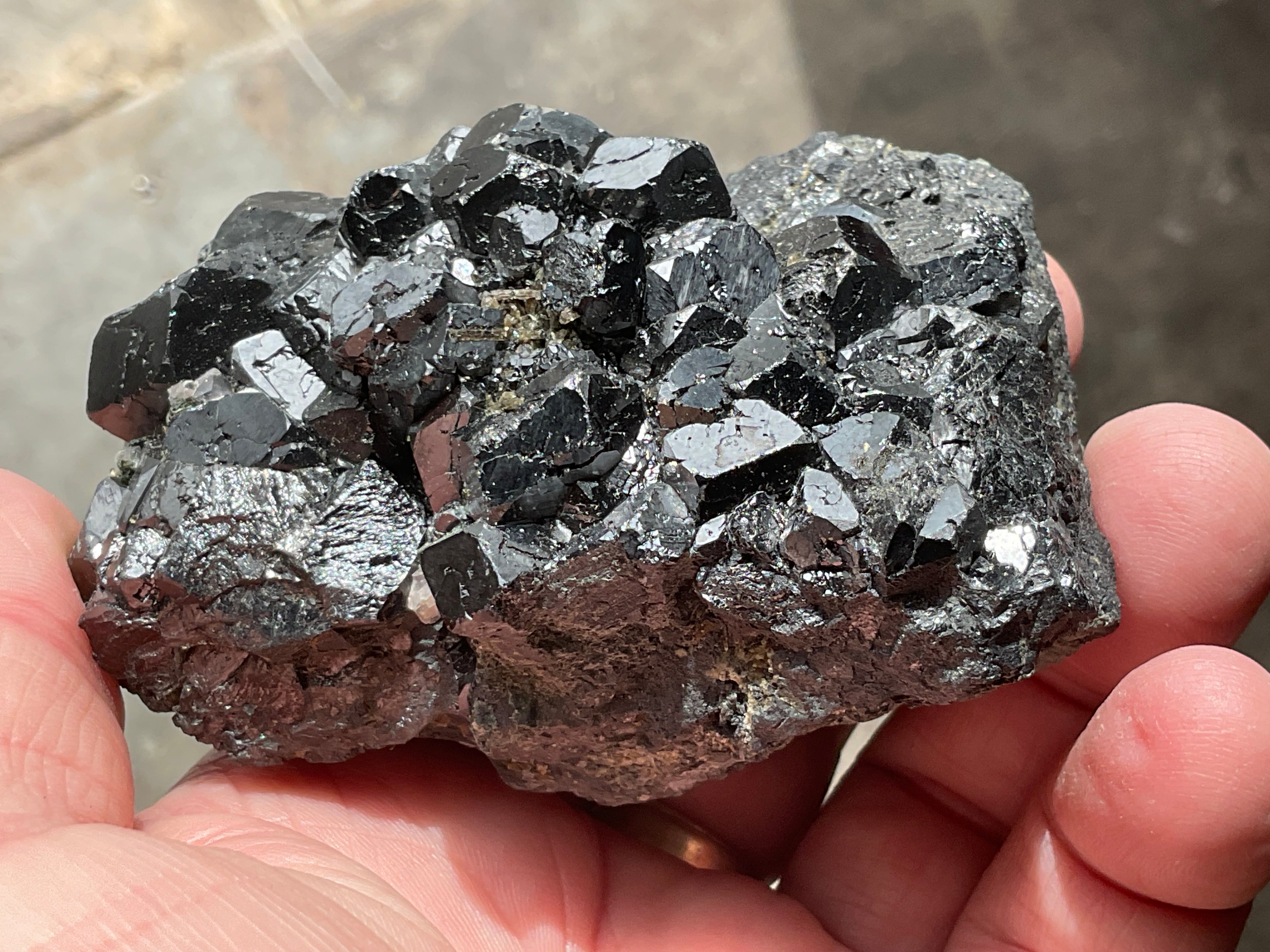 464g Magnetite with Calcite Specimen 1C