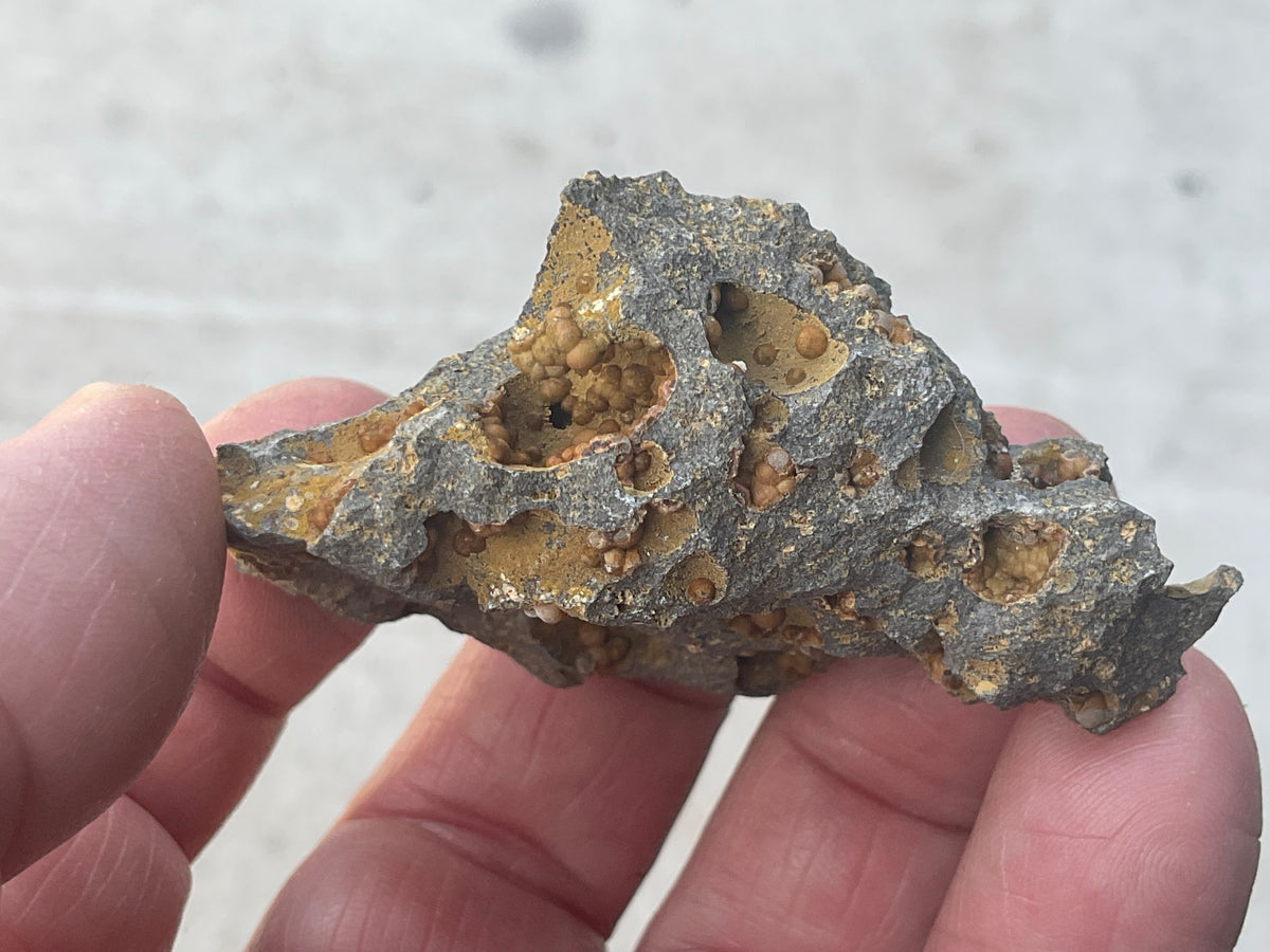 42g Siderite Spheres in Basalt Specimen 1A from Tasmania, Australia