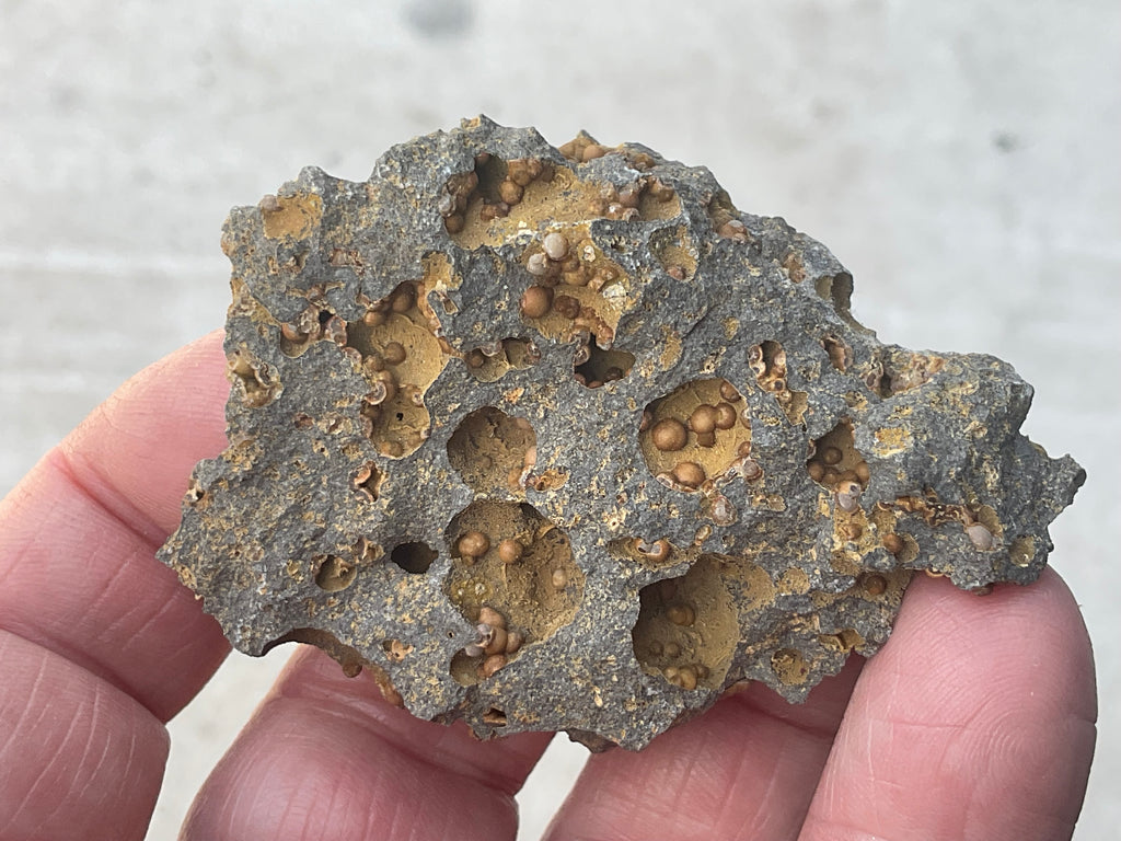 42g Siderite Spheres in Basalt Specimen 1A from Tasmania, Australia