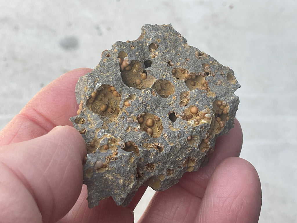 42g Siderite Spheres in Basalt Specimen 1A from Tasmania, Australia