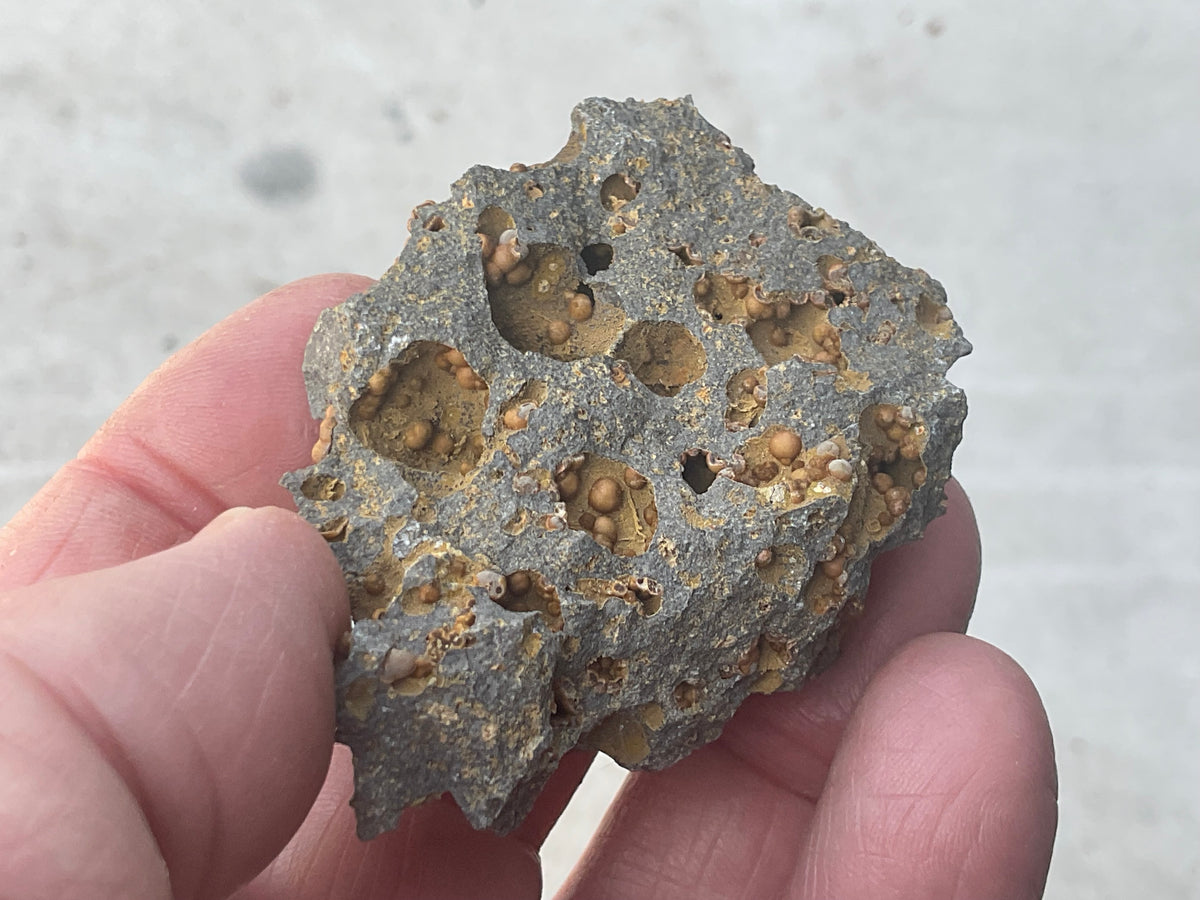 42g Siderite Spheres in Basalt Specimen 1A from Tasmania, Australia