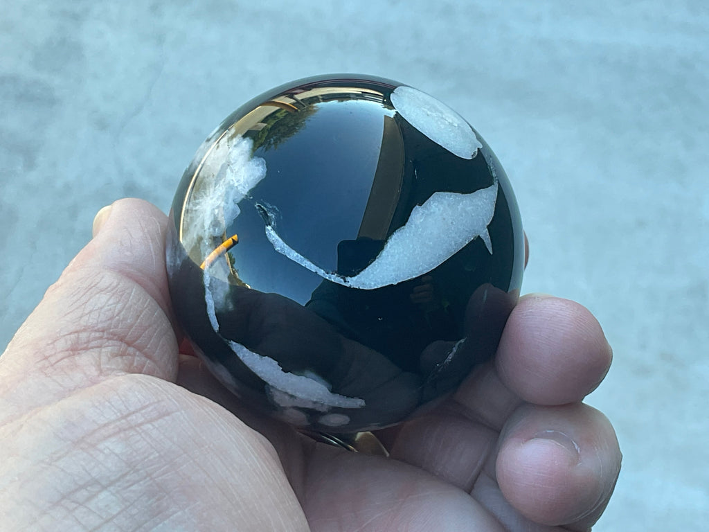 238g Black Flower Agate Sphere 6B