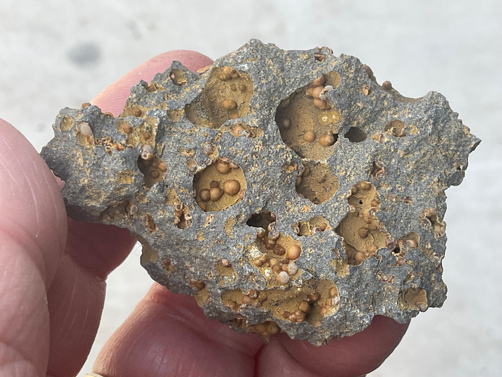 42g Siderite Spheres in Basalt Specimen 1A from Tasmania, Australia