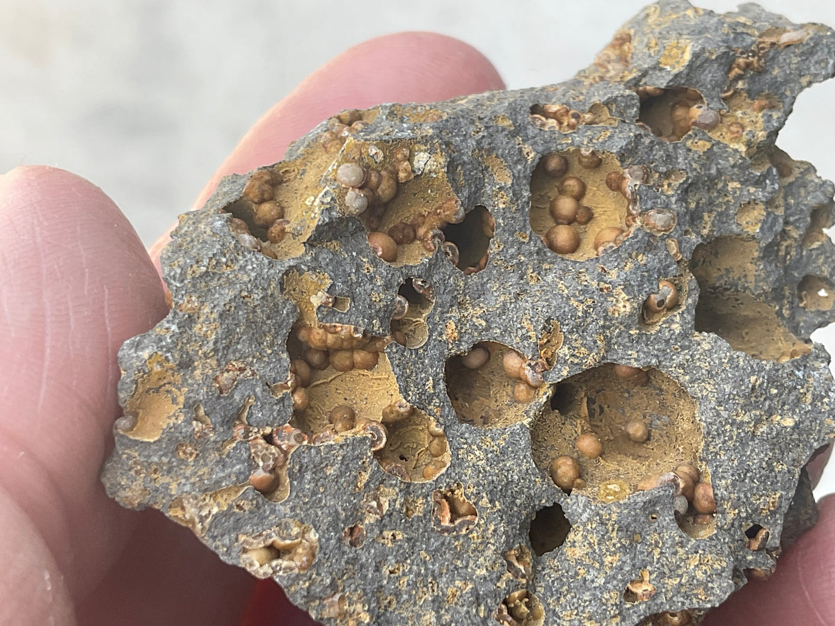 42g Siderite Spheres in Basalt Specimen 1A from Tasmania, Australia