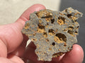 42g Siderite Spheres in Basalt Specimen 1A from Tasmania, Australia