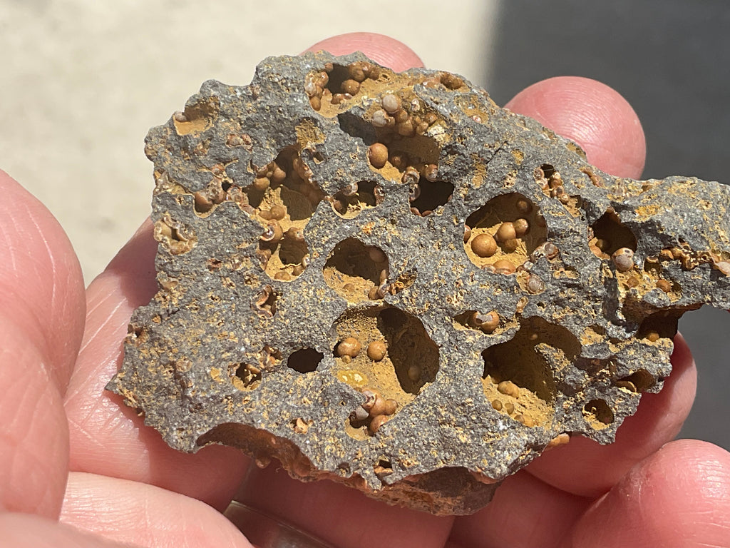 42g Siderite Spheres in Basalt Specimen 1A from Tasmania, Australia