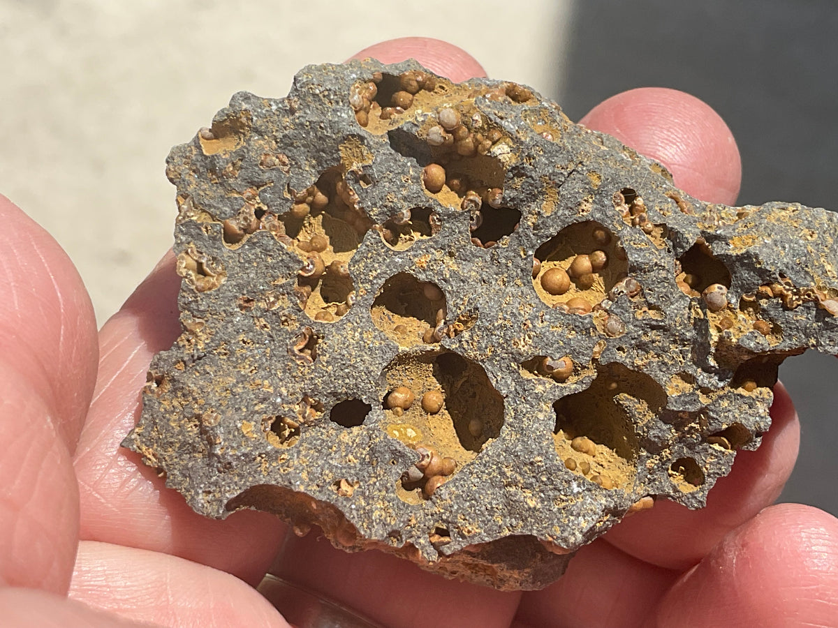 42g Siderite Spheres in Basalt Specimen 1A from Tasmania, Australia
