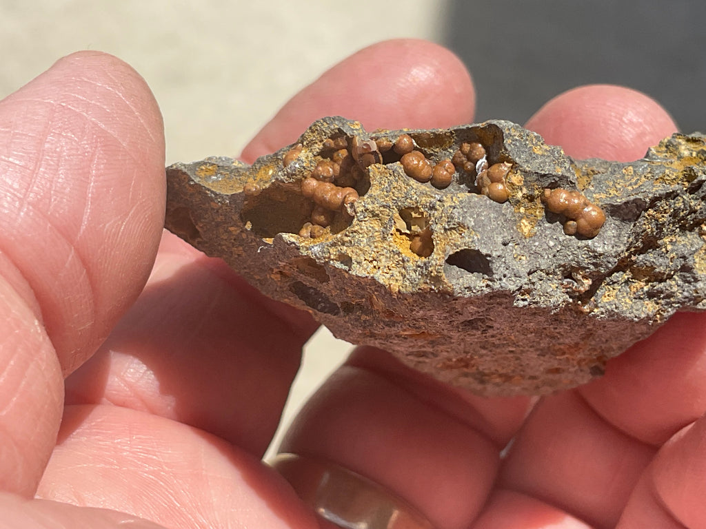 42g Siderite Spheres in Basalt Specimen 1A from Tasmania, Australia