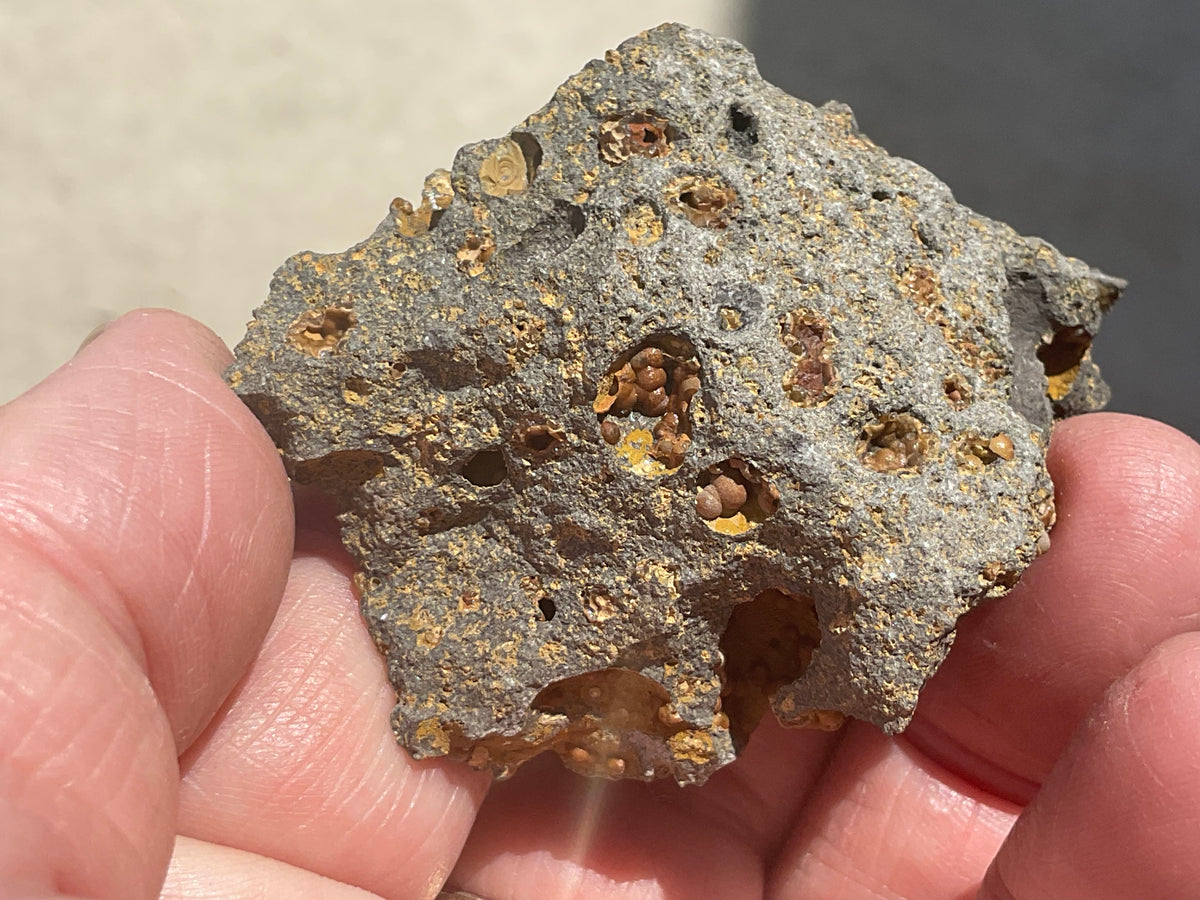 42g Siderite Spheres in Basalt Specimen 1A from Tasmania, Australia