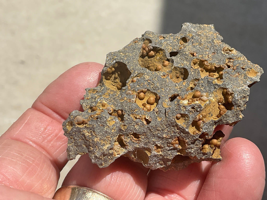 42g Siderite Spheres in Basalt Specimen 1A from Tasmania, Australia
