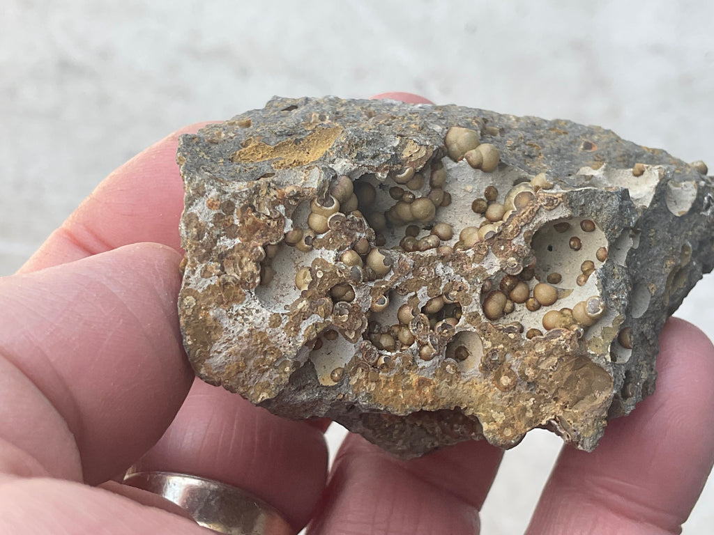 87g Siderite Spheres in Basalt Specimen 2B from Tasmania, Australia