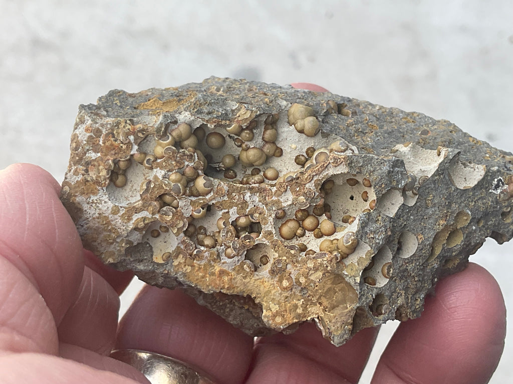 87g Siderite Spheres in Basalt Specimen 2B from Tasmania, Australia