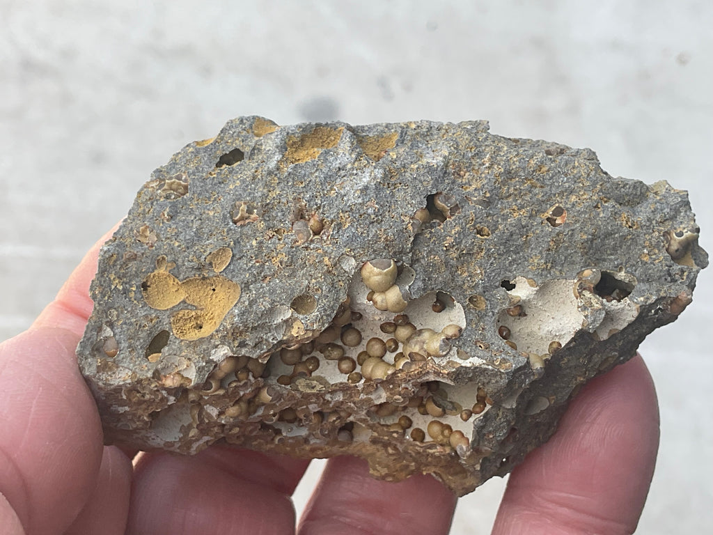 87g Siderite Spheres in Basalt Specimen 2B from Tasmania, Australia