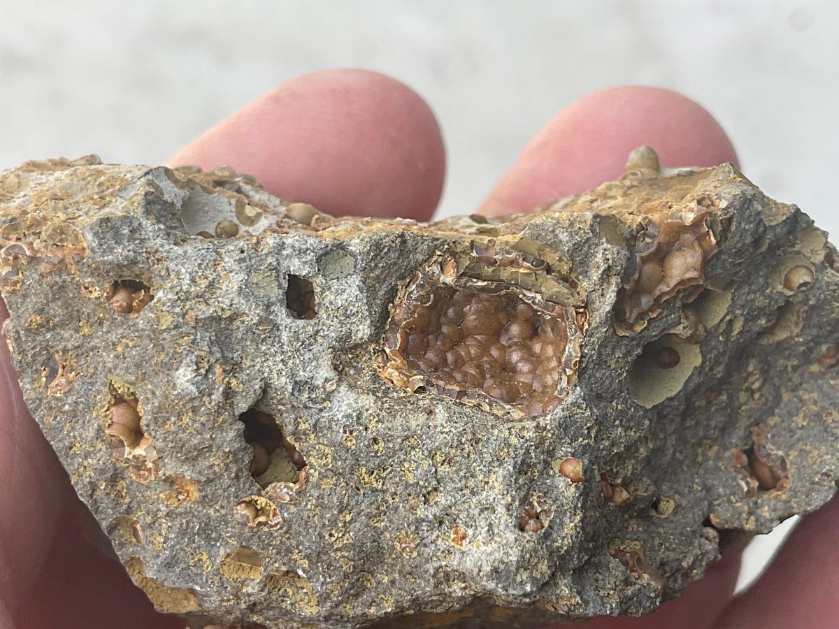 87g Siderite Spheres in Basalt Specimen 2B from Tasmania, Australia