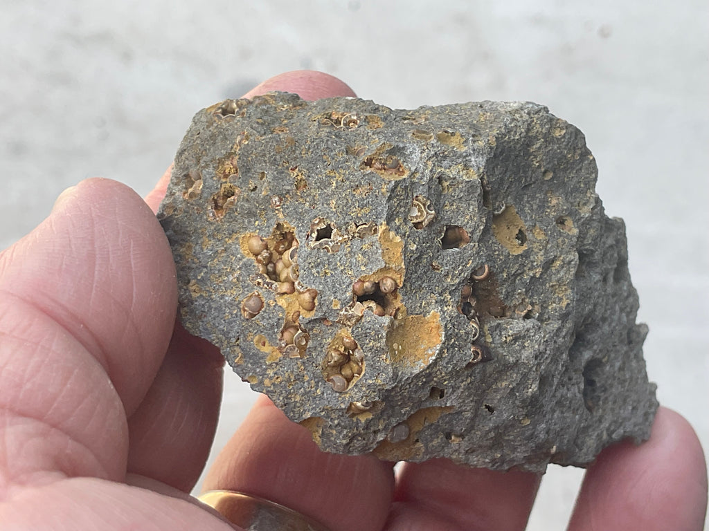 87g Siderite Spheres in Basalt Specimen 2B from Tasmania, Australia