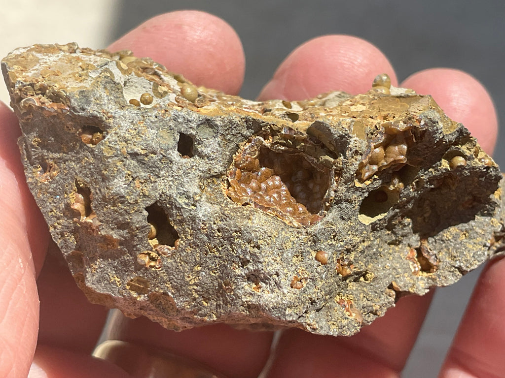87g Siderite Spheres in Basalt Specimen 2B from Tasmania, Australia