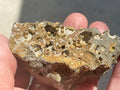 87g Siderite Spheres in Basalt Specimen 2B from Tasmania, Australia