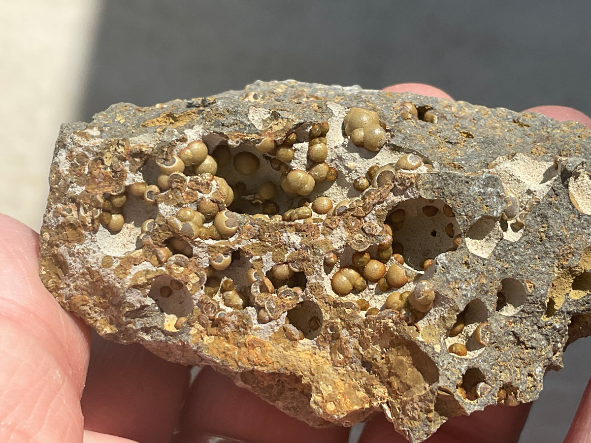 87g Siderite Spheres in Basalt Specimen 2B from Tasmania, Australia