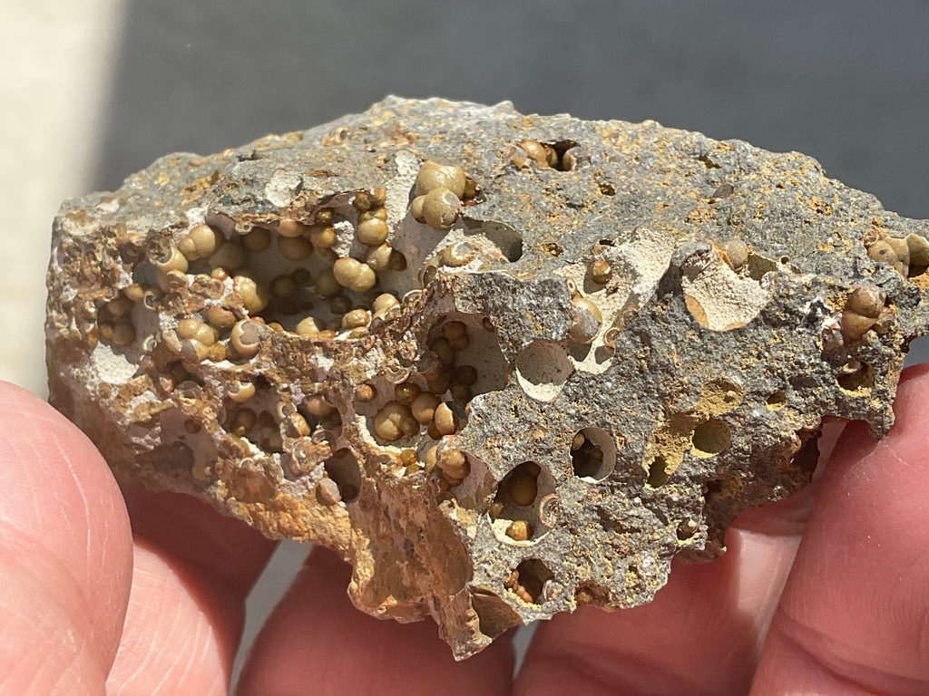 87g Siderite Spheres in Basalt Specimen 2B from Tasmania, Australia