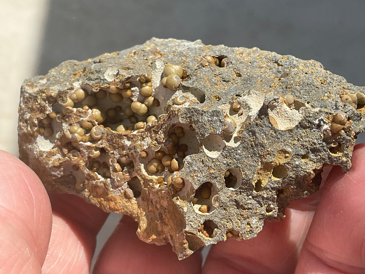 87g Siderite Spheres in Basalt Specimen 2B from Tasmania, Australia