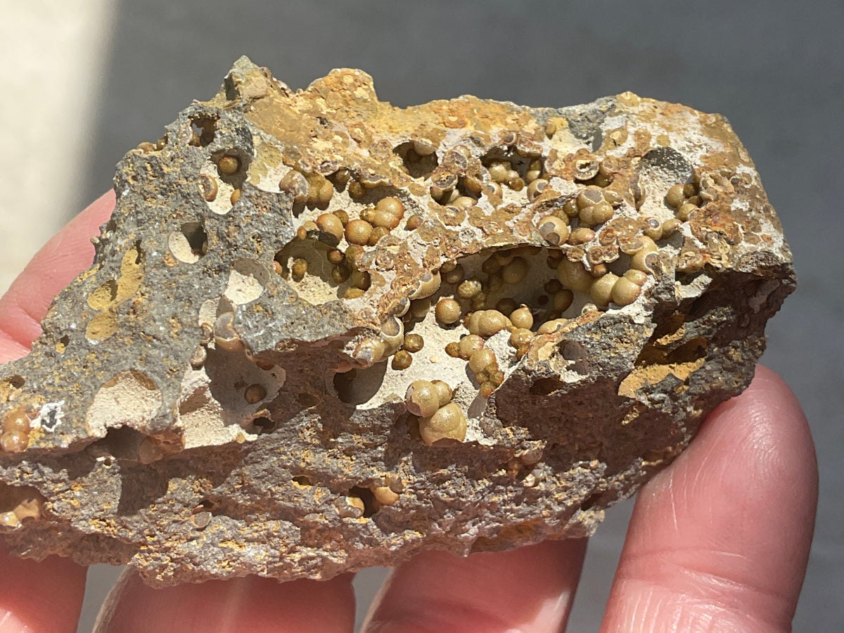 87g Siderite Spheres in Basalt Specimen 2B from Tasmania, Australia