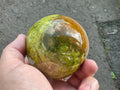 450g Green Common Opal Sphere 3C (Imperfect)
