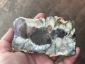 94g Australian Dendritic Common Opal with Chalcedony Slab A