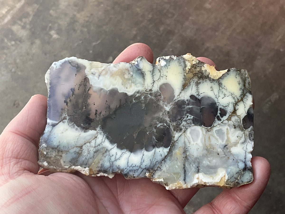 94g Australian Dendritic Common Opal with Chalcedony Slab A