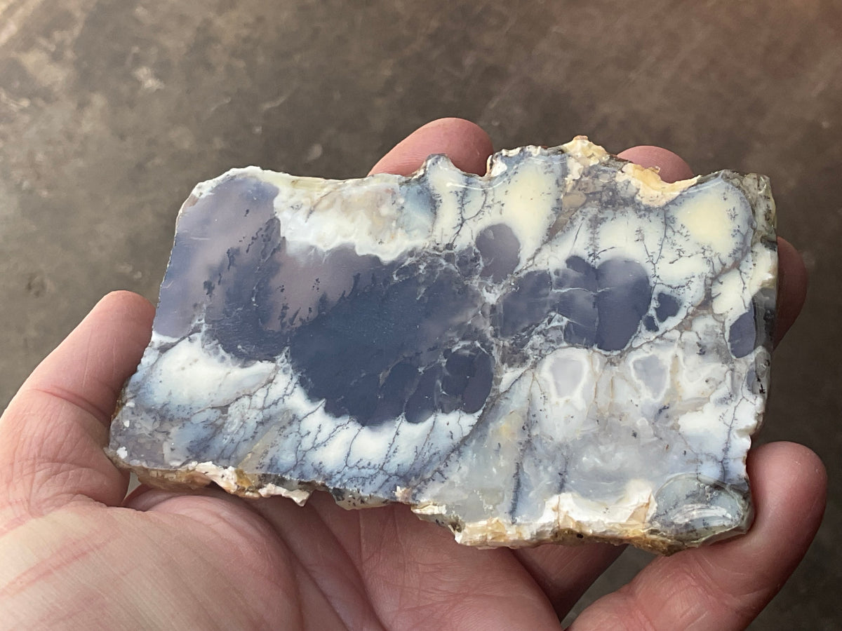 94g Australian Dendritic Common Opal with Chalcedony Slab A