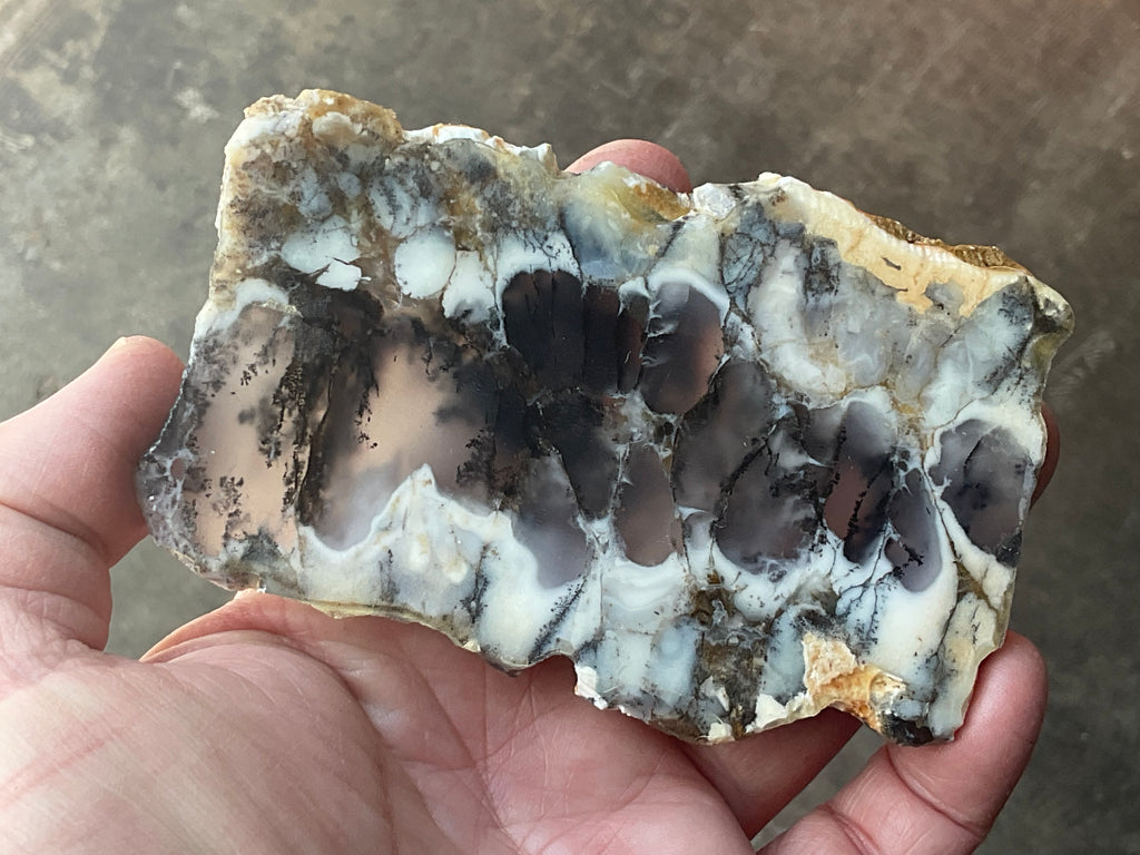 94g Australian Dendritic Common Opal with Chalcedony Slab A