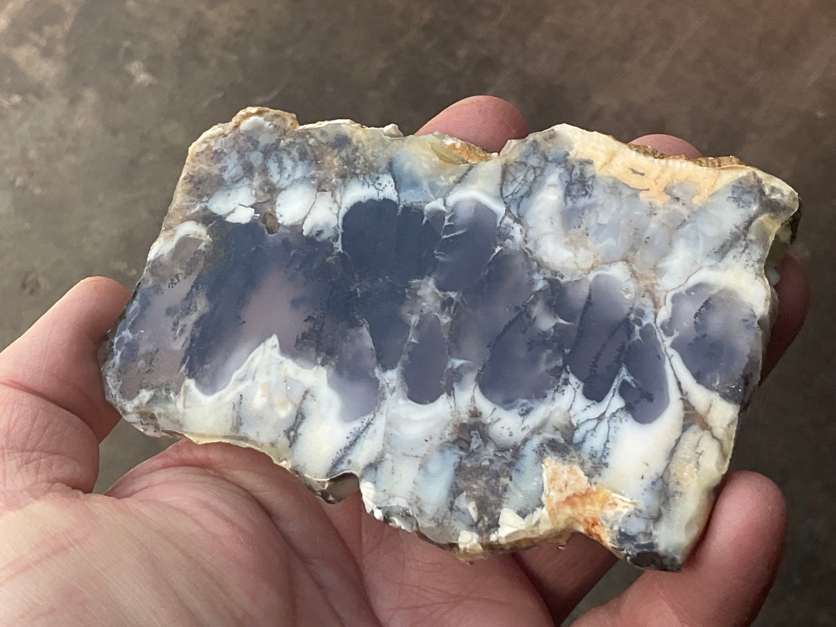 94g Australian Dendritic Common Opal with Chalcedony Slab A